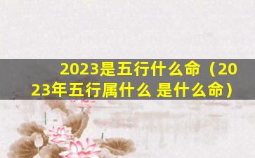 2023是五行什么命（2023年五行属什么 是什么命）